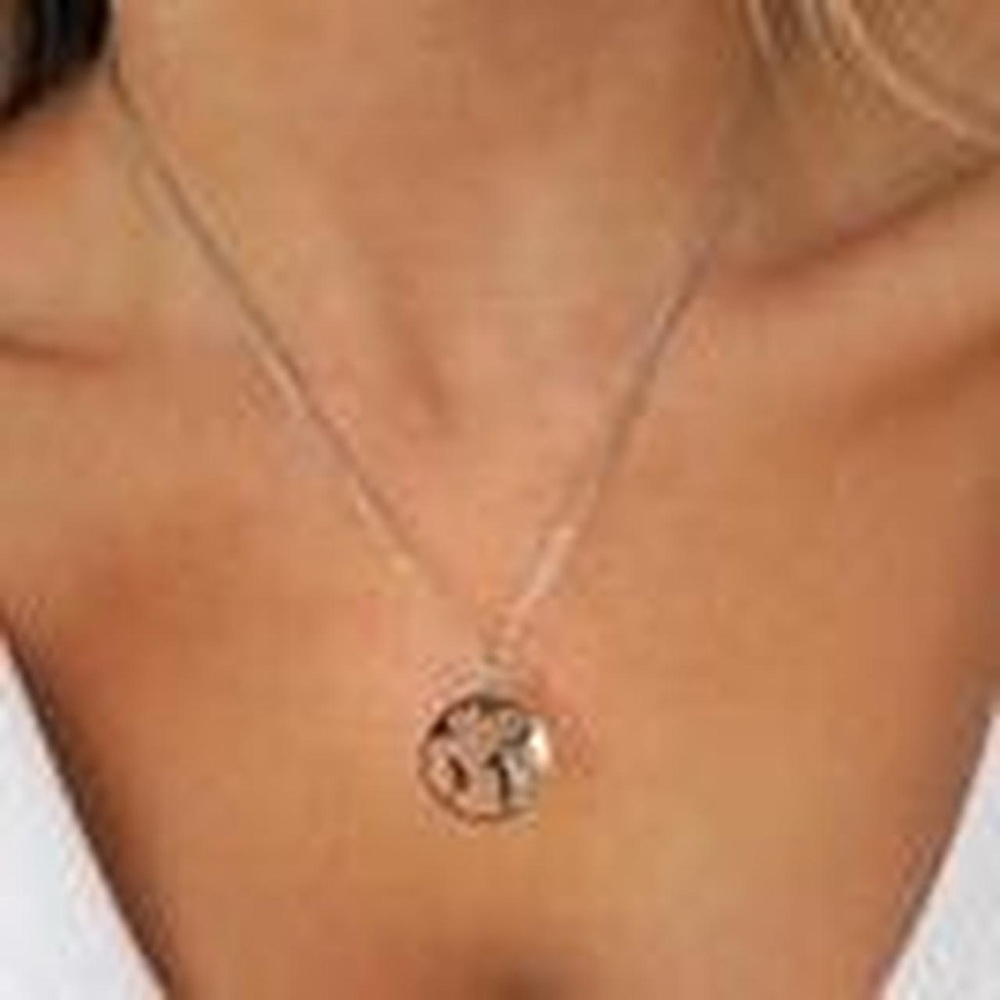 super cute viral silver earth jacqmaria necklace never worn before